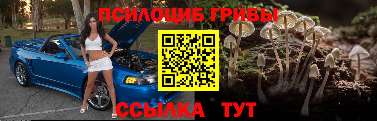 Псилоцибиновые грибы MAGIC MUSHROOMS  Вход с VPN  сколько стоит  Знаменск  Псилоцибиновые грибы мухоморы 